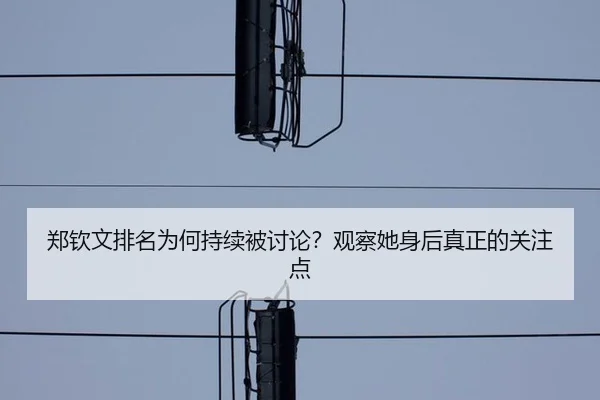 郑钦文排名为何持续被讨论？观察她身后真正的关注点